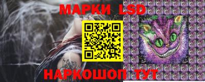 молекула духа Пугачёв