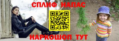 молекула духа Пугачёв